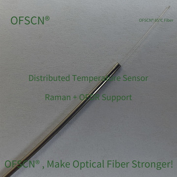 OFSCN OFDR DTS Temperatur 09 02
