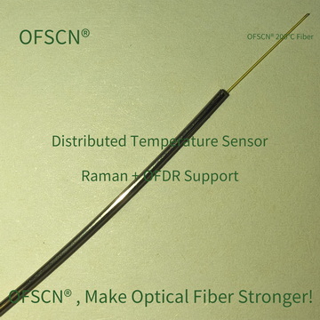 OFSCN OFDR DTS Temperatur 09 02