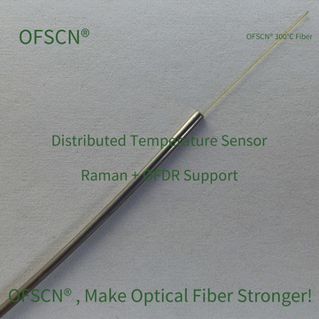 OFSCN OFDR DTS Temperatur 09 02