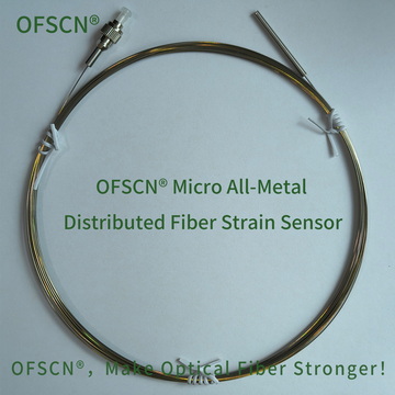 OFSCN OFDR DTS Temperatur 09 01