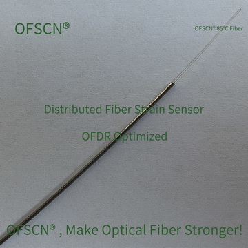 OFSCN OFDR DTS Temperatur 09 02