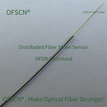 OFSCN OFDR DTS Temperatur 09 02