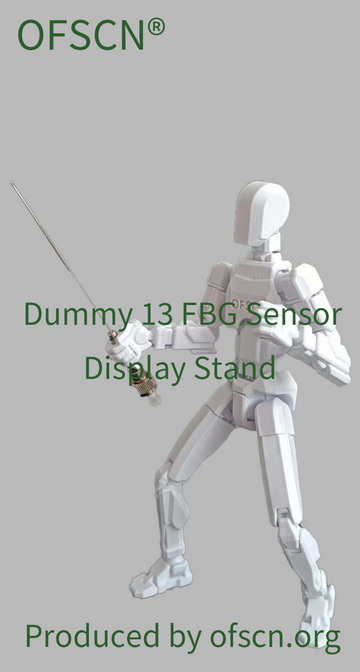 OFSCN Dummy 13 Display Stand 04