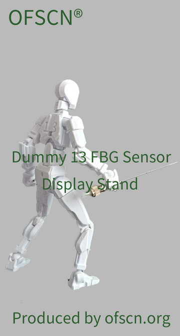 OFSCN Dummy 13 Display Stand 05