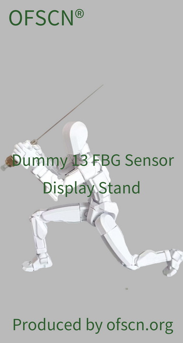 OFSCN Dummy 13 Display Stand 06