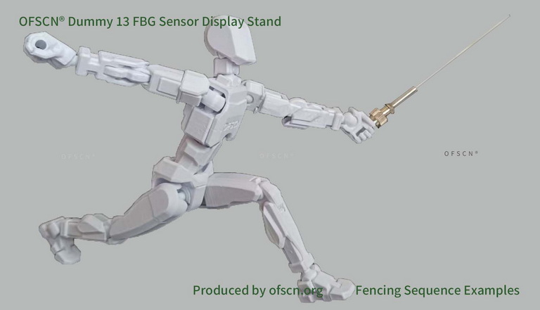 OFSCN Dummy 13 Display Stand 08